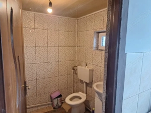 Casă 110 mp + 1000 mp teren   Malu Roșu (Armășești)   1 oră de București   31.000   - imagine 2