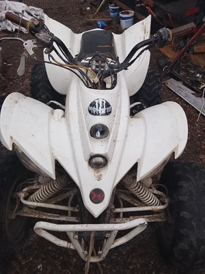 atv shinnray 250c - imagine 3