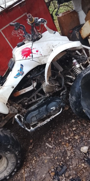 atv shinnray 250c - imagine 5