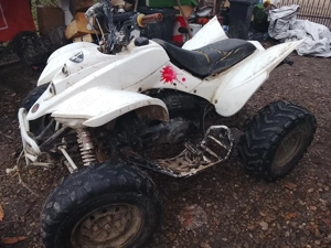 atv shinnray 250c - imagine 2