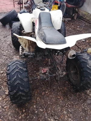 atv shinnray 250c - imagine 4