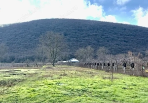 Casă de Vânzare 2000 mp  - imagine 2