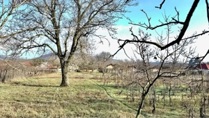 Casă de Vânzare 2000 mp  - imagine 3