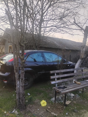 Ford focus 2004  - imagine 3