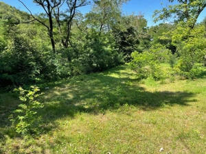 Vând teren INTRAVILAN pentru cabană, Fantanele-Sibiu - imagine 3