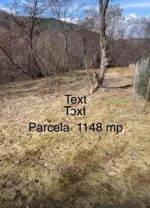 Vând teren INTRAVILAN pentru cabană, Fantanele-Sibiu - imagine 4