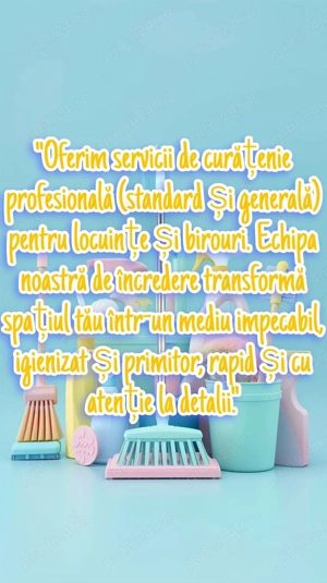 Oferim servicii de curatenie( cu produsele clientului).