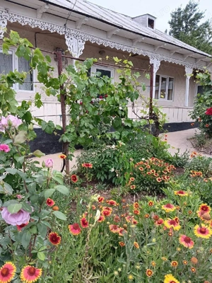 Vând casă locuibilă comuna Suceveni Jud Galați  - imagine 2