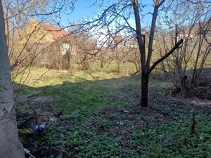 Casa cu gradina Geoagiu -Hunedoara - imagine 10