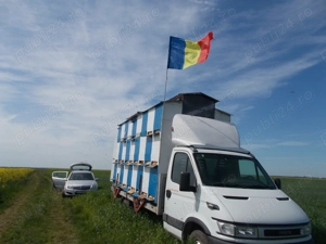 Vanzare stupi,rame,pavilion apicol, autoutilitara