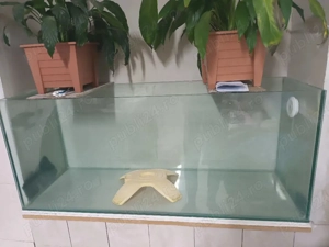 acvariu stare buna - imagine 2