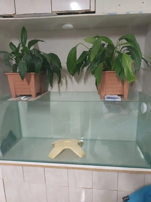 acvariu stare buna - imagine 3