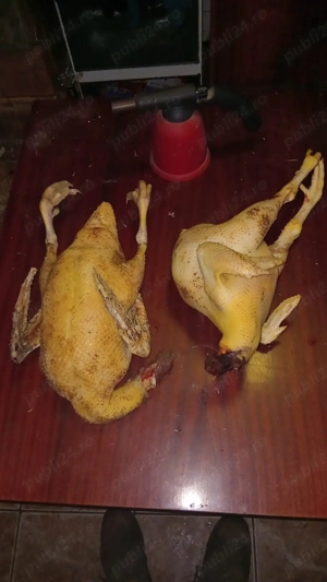 urgent fără colesterol  - imagine 3