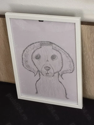 Desene animale-Originale A4 în creion negru cu carbon (Herlitz)-doar pentru orașul Cluj - imagine 2