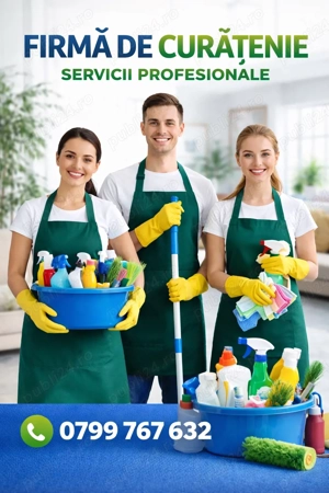 Curatenie apartamente , case , birouri . Seriozitate si calitate !