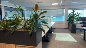 Comision 0%! Închiriere Spațiu Birouri 180 mp- Ready To Move!