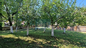 Vila spațioasă 5 dormitoare, Provita de Jos - imagine 5