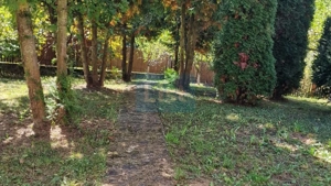 Vila spațioasă 5 dormitoare, Provita de Jos - imagine 3