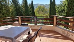 Vila spațioasă 5 dormitoare, Provita de Jos - imagine 4