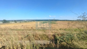 OFERTĂ PREMIUM – Teren intravilan 6.000 mp, Micești (Arges), pe DN 73 - imagine 6