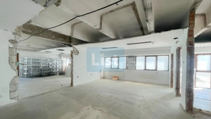 Spatii multiple pentru inchiriat Calea Timisoarei - imagine 10