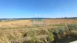 OFERTĂ PREMIUM – Teren intravilan 6.000 mp, Micești (Arges), pe DN 73 - imagine 5