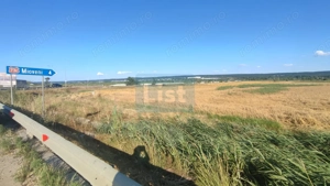 OFERTĂ PREMIUM – Teren intravilan 6.000 mp, Micești (Arges), pe DN 73 - imagine 7