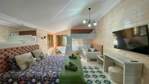 Casa de vacanta superba in Crivaia - imagine 8