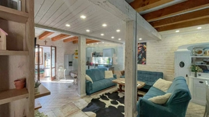 Casa de vacanta superba in Crivaia - imagine 3