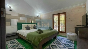 Casa de vacanta superba in Crivaia - imagine 9