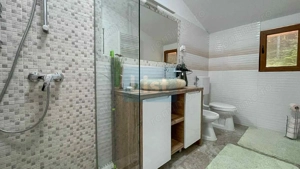 Casa de vacanta superba in Crivaia - imagine 17