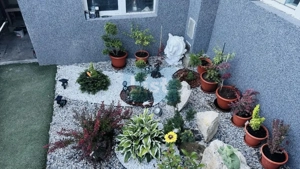 Casa recent renovata Codlea-jud.Brasov - imagine 5