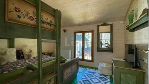 Casa de vacanta superba in Crivaia - imagine 16