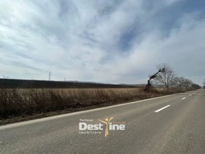 Teren de vanzare Caciulesti 10.000 Euro 1300mp