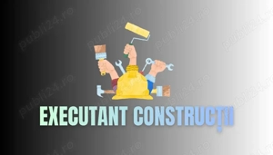 Execut construcții  - imagine 2