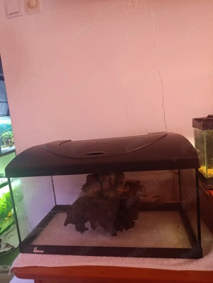 Acvariu Diversa 54 L complet  - imagine 2