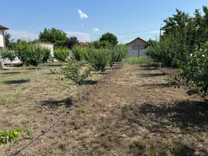 vand teren intravilan - imagine 5