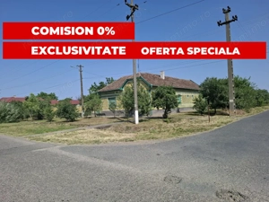  CASĂ MARE în Nădlac cu teren generos 2095mp - imagine 2