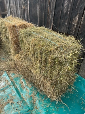 Baloti diferite sortimente