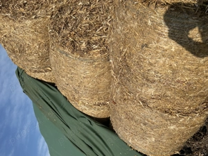 Vând baloți tocătură 150  120