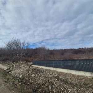 Teren intravilan de vanzare – Sigmir, Str. Soarelui - imagine 3
