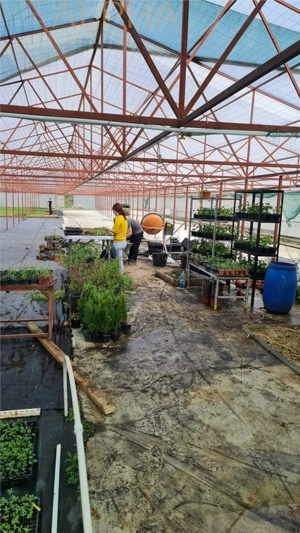 AFACERE LA CHEIE – HALA PRODUCTIE + SERA PROFESIONALA - imagine 11