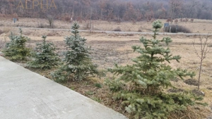 AFACERE LA CHEIE – HALA PRODUCTIE + SERA PROFESIONALA - imagine 14