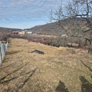 Teren  extravilan de vanzare – Bistrita, Valea Rusului - imagine 2