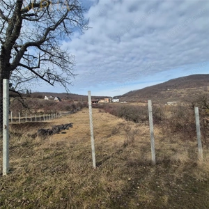 Teren  extravilan de vanzare – Bistrita, Valea Rusului - imagine 3
