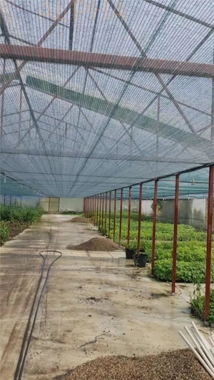 AFACERE LA CHEIE – HALA PRODUCTIE + SERA PROFESIONALA - imagine 6