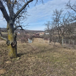 Teren  extravilan de vanzare – Bistrita, Valea Rusului - imagine 4
