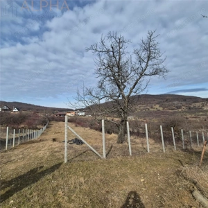 Teren  extravilan de vanzare – Bistrita, Valea Rusului - imagine 6