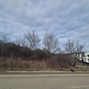 Teren intravilan de vanzare – Sigmir, Str. Soarelui - imagine 7