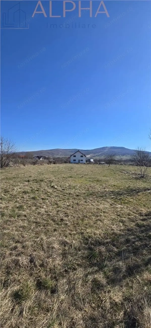 Teren intravilan 1.250 mp – Unirea, BN - imagine 4